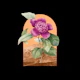 Floral Landscape Camellia