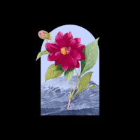 Floral Landscape Dahlia wallpaper