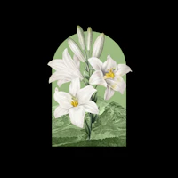 Floral Landscape Lilies wallpaper