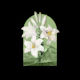 Floral Landscape Lilies