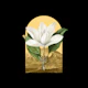 Floral Landscape Magnolia