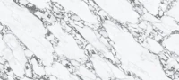 Calacatta Viola Black & White Marble papel pintado