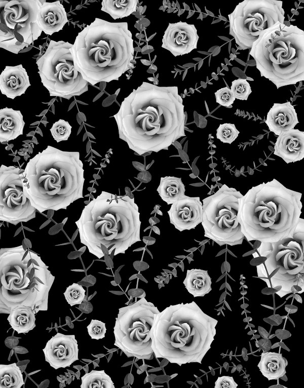 Night Beauty Rose Eucalyptus 4