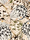 Maximalist Boho Butterfly Wings Black Cream
