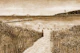 Beach landscape French Riviera - Sepia brown