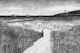 Beach landscape French Riviera - Gray tones