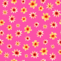 Pink Flower Petals wallpaper
