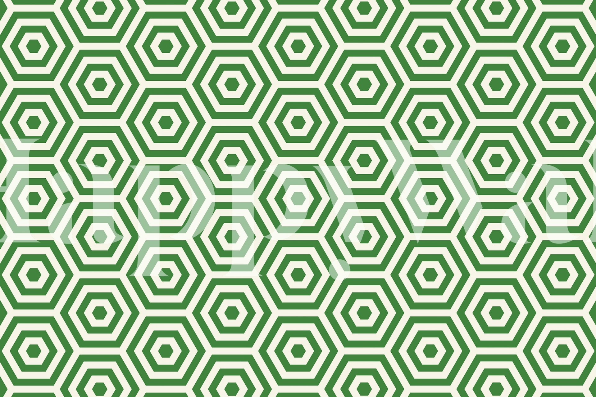Green Beehive patterned wall mural with hexagonal shapes