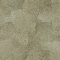 Torn Leather - Chamois tapete