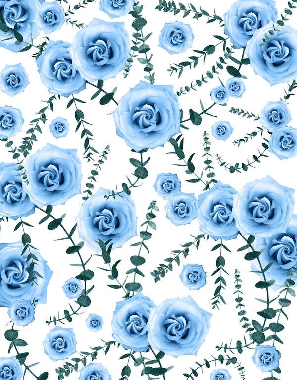 Blue Beauty Rose Eucalyptus 1