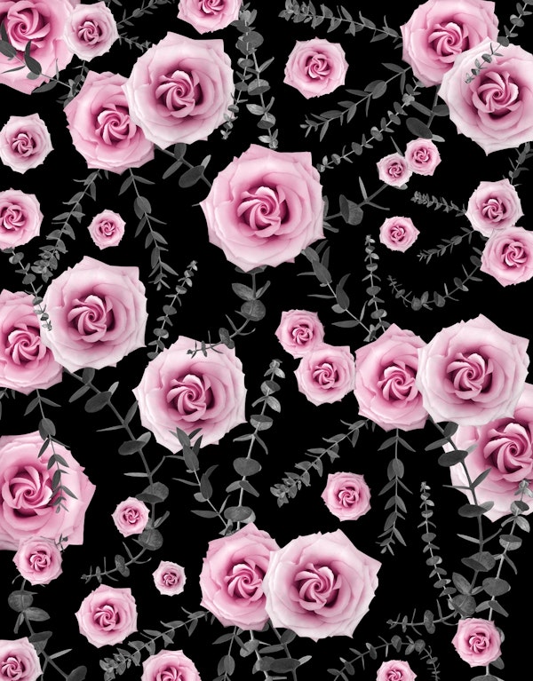 Night Beauty Rose Eucalyptus 5