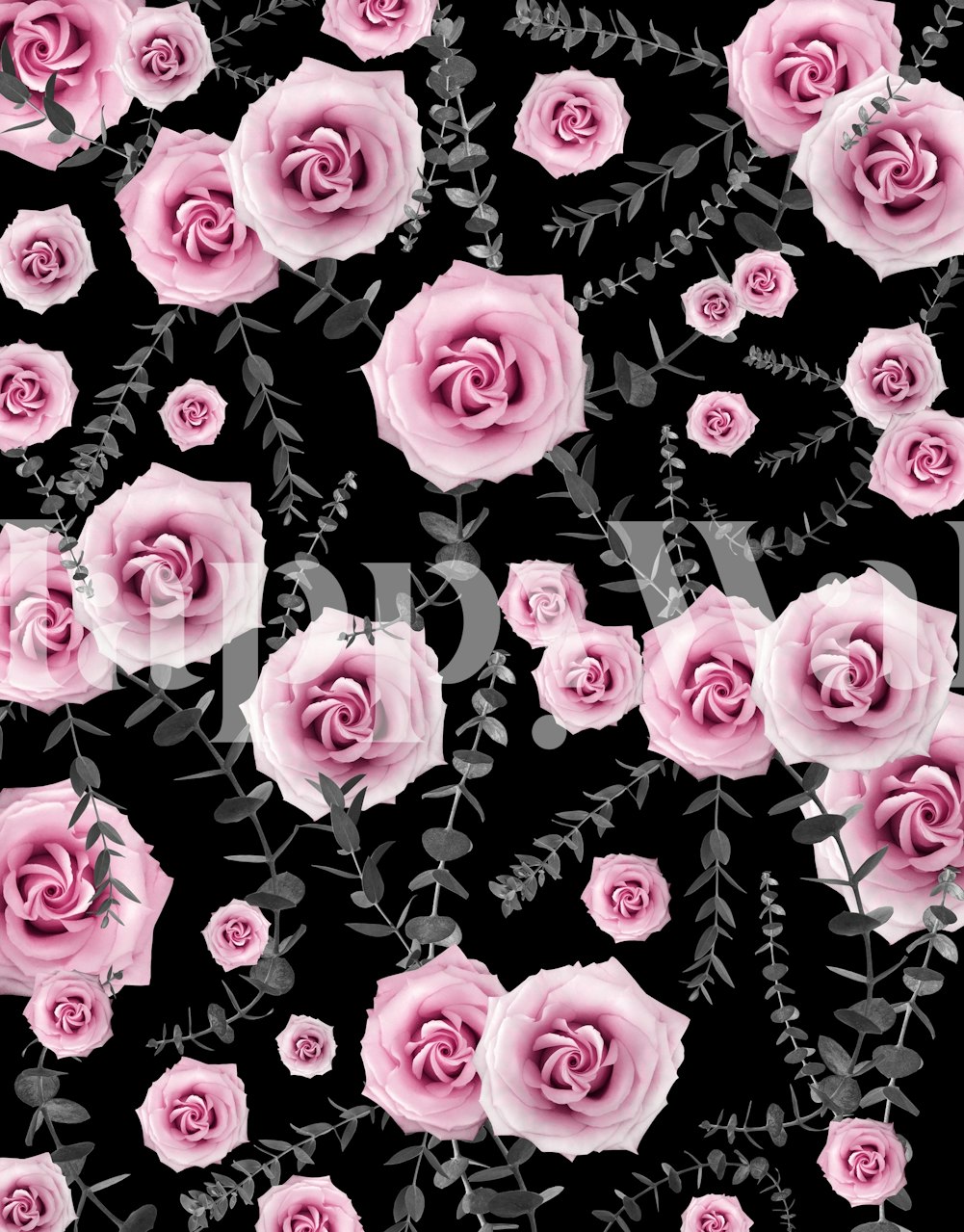 Pink roses and green eucalyptus leaves on a black wallpaper design