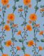 Orange Flowering Climbers