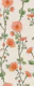 Peach Flowering Climbers