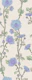 Blue Flowering Climbers