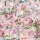 Peonies paradise pink