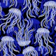 Jewel Jellyfish Saphir Blue