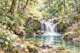 Summer Forest Waterfall Stream