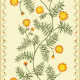 Marigold Floral Stripes - Orange