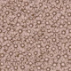 A sea of daisys - blush brown