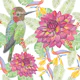 Humming birds