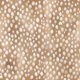 Bambi Spots