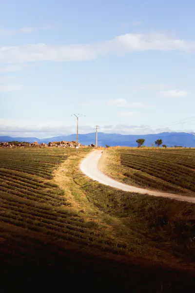 Fototapeta