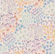 Ivory peach and violet wildflowers