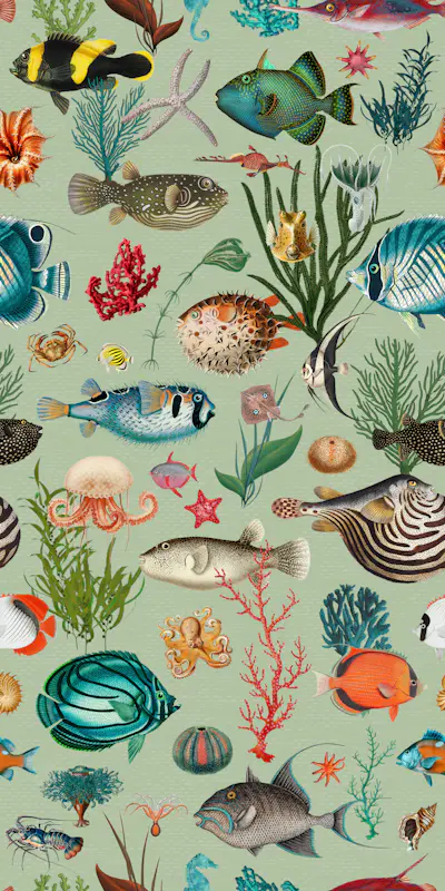 Pattern
