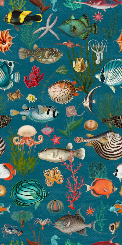 Pattern