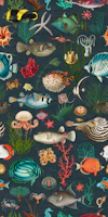 Oceania pattern in Dark Slate Grey wallpaper