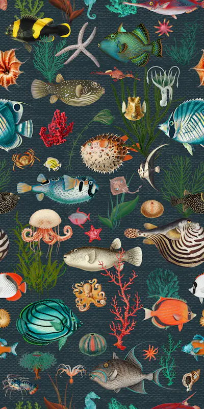 Pattern