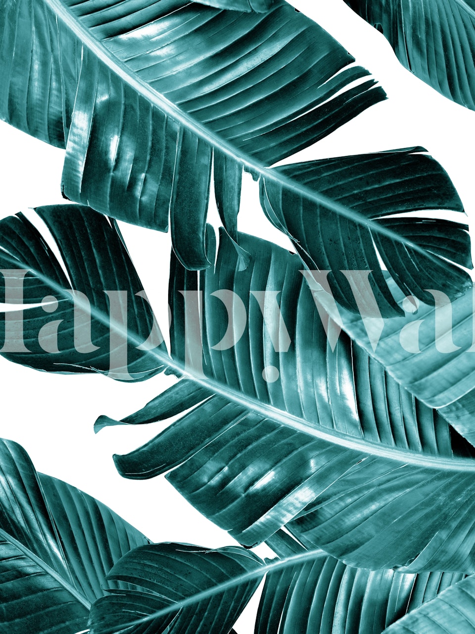 Teal banana leaves wallpaper with lush tropical design