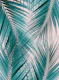 Teal Blush Palm Leaves Dream 1