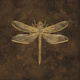 Golden Dragonfly Buzz - Moody Brown
