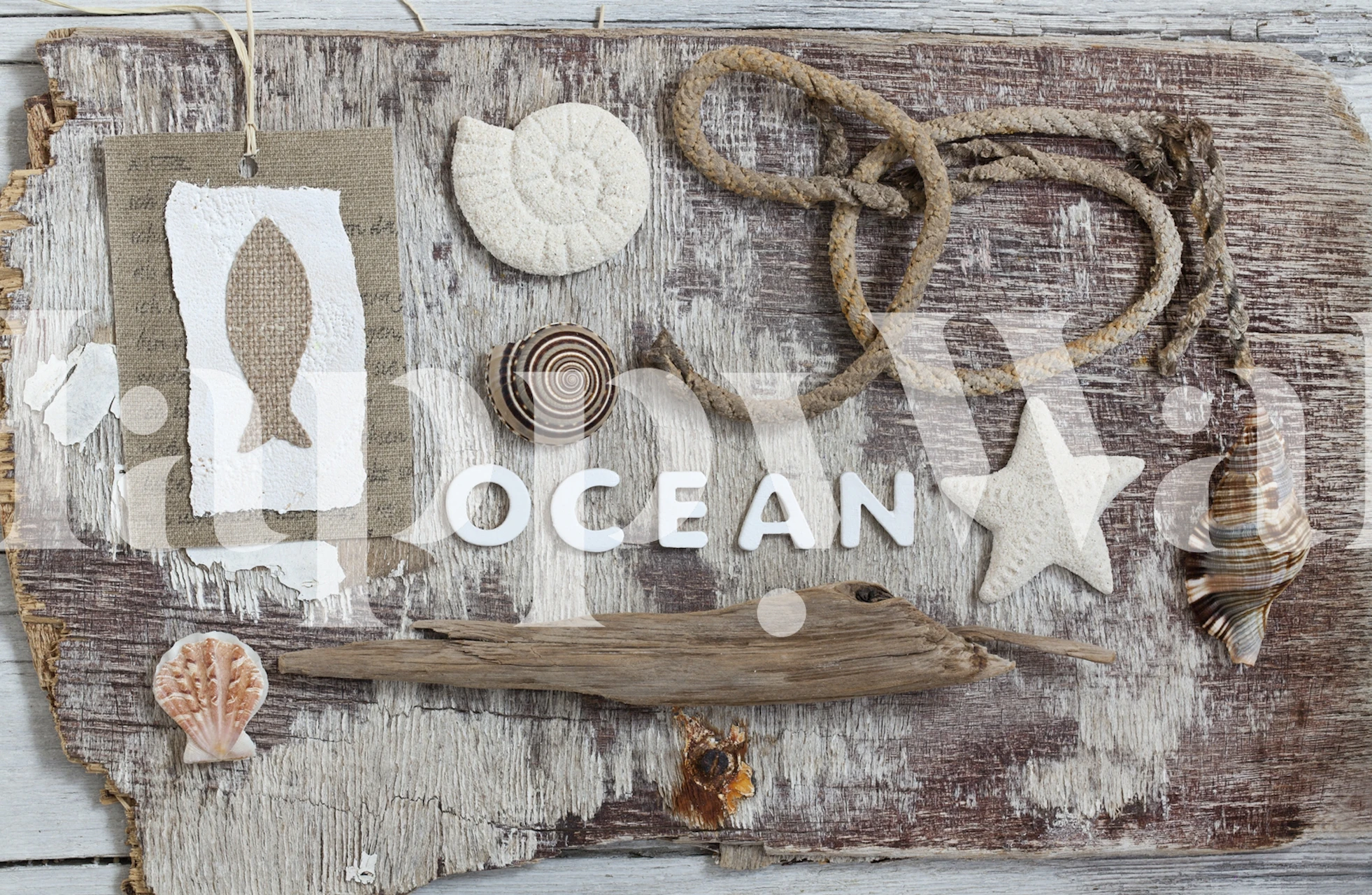 Beach-themed wallpaper with ocean shells, fish, and driftwood elements
