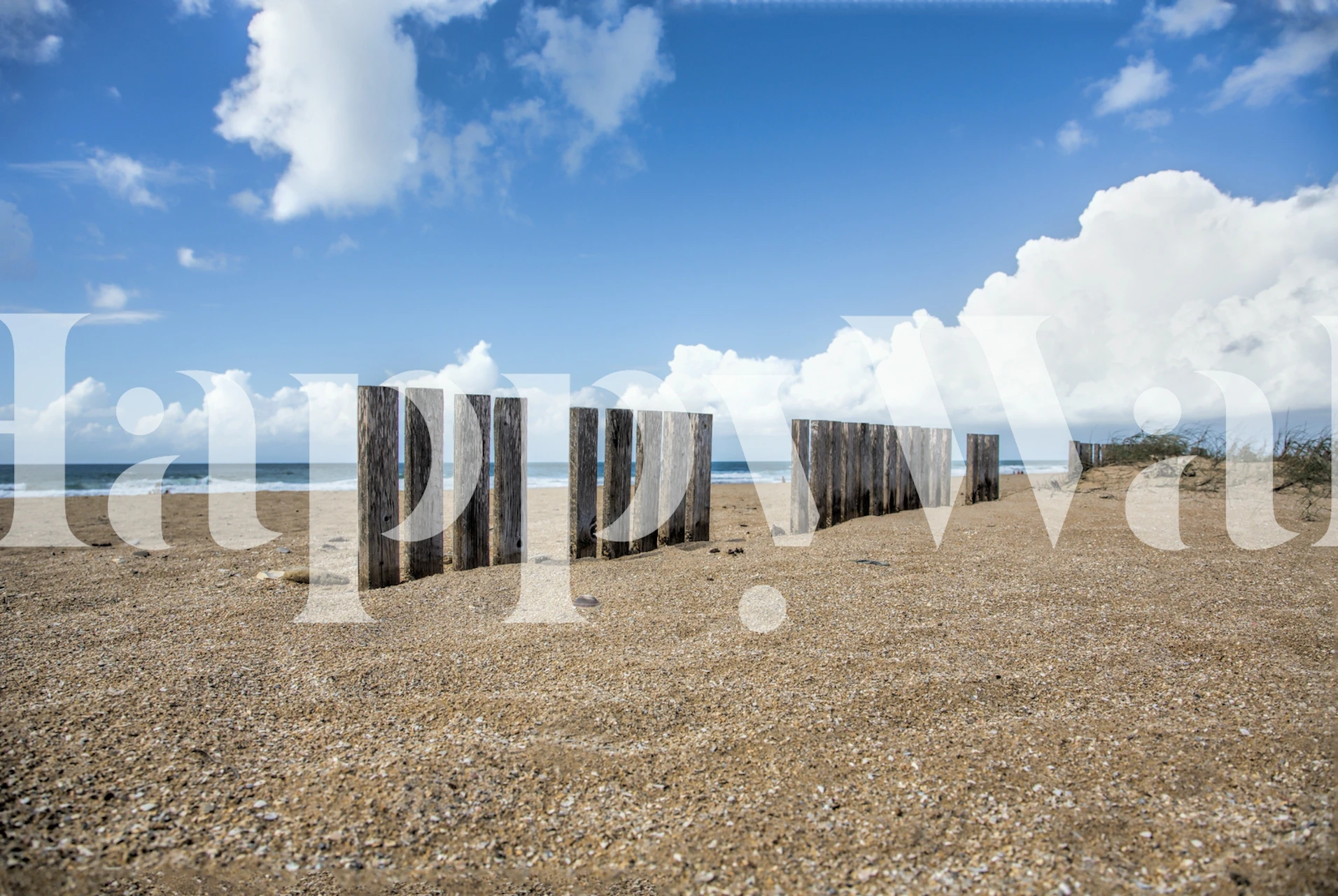 Beach Costa de la Luz wallpaper in a room