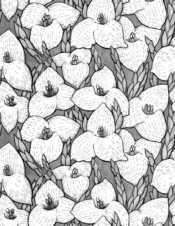 Puya Flowers Black White