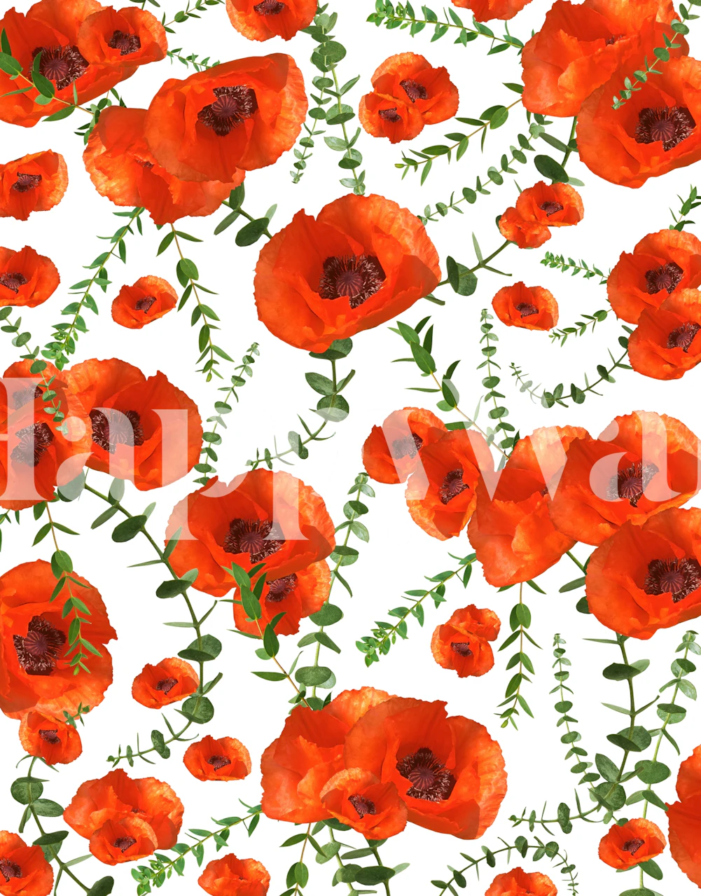 Design de papel de parede Poppies vermelhas e Eucalyptus