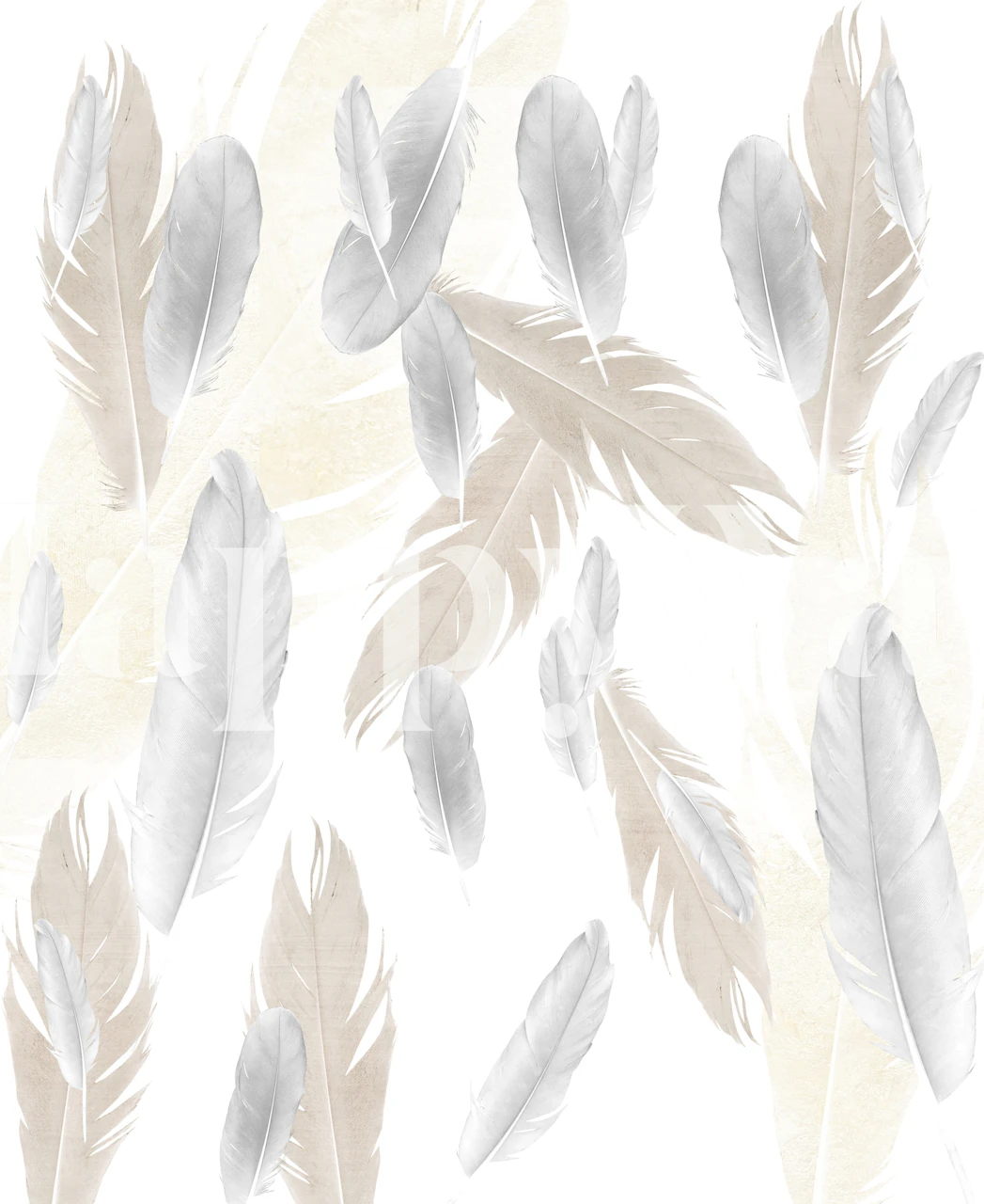 Feathers on a soft beige and white background wallpaper