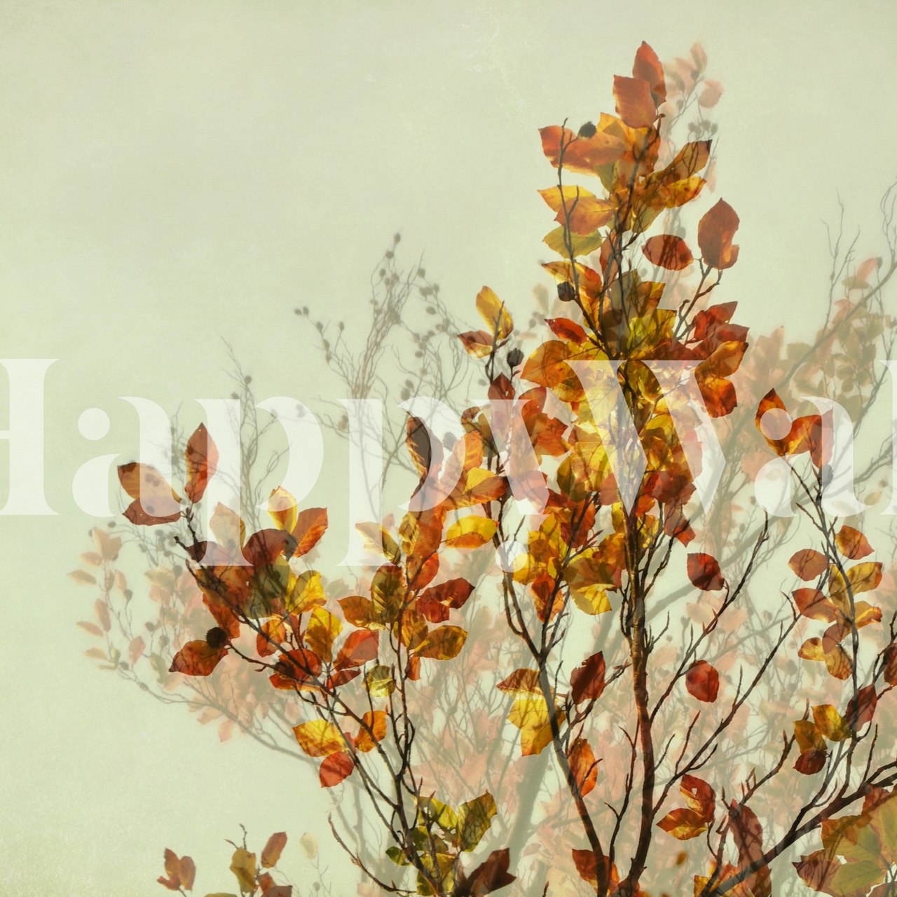 Design della carta da parati Autumn Symphony in una stanza