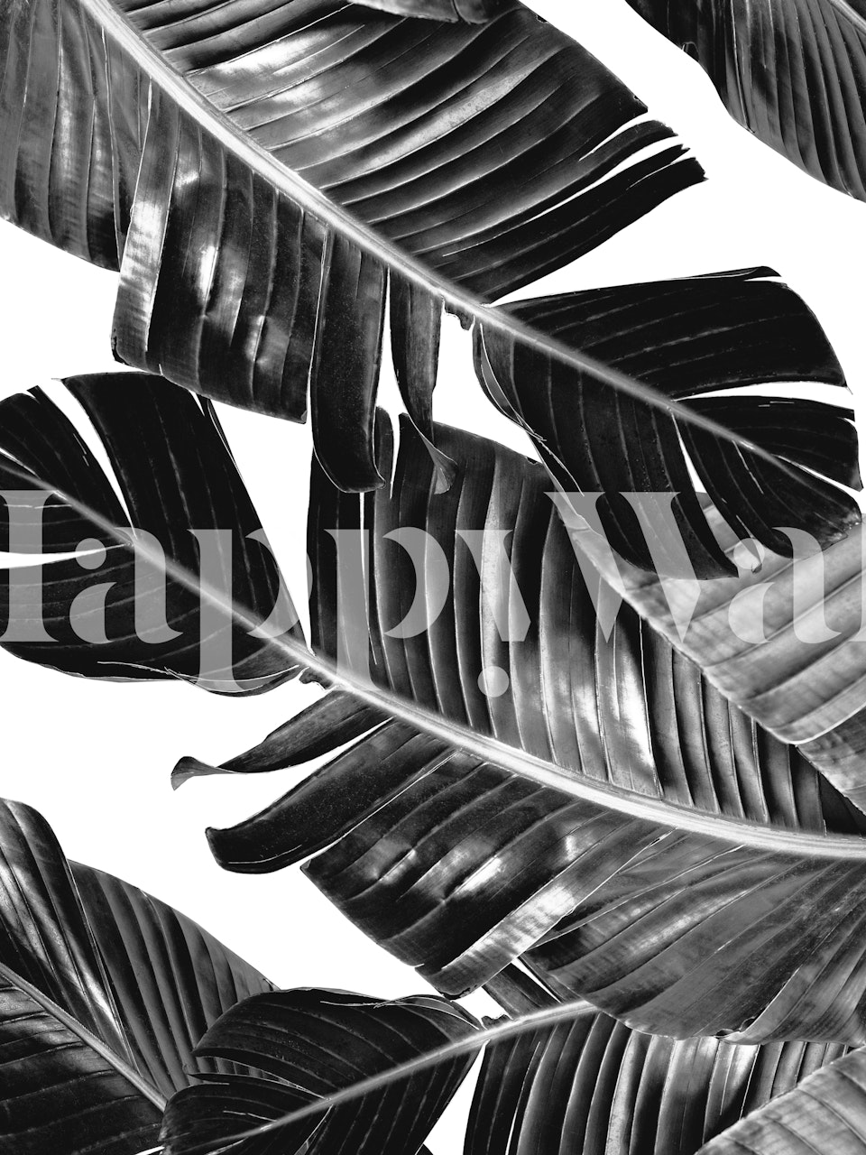 Monochrome tropical banana leaf wallpaper design