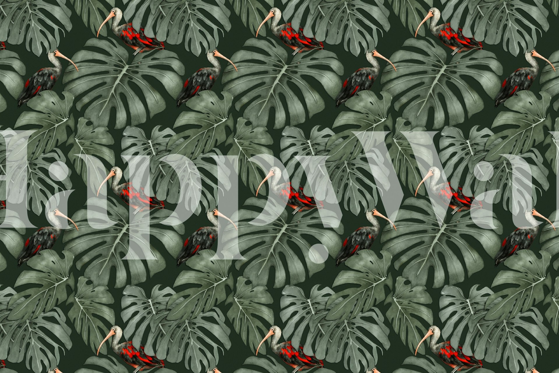 Szkarłatne ptaki ibis siedzące wśród bujnych zielonych liści monstery na fototapecie