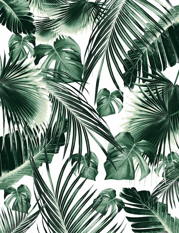 Tropical Jungle Leaves Dream7a