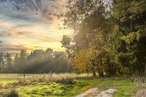 Idyllic  Autumn Sunset