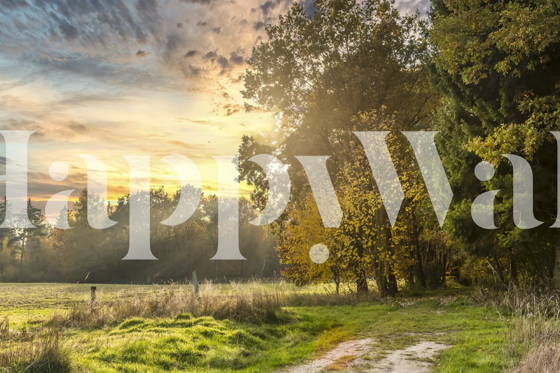 Idyllic Autumn Sunset wall mural with warm golden hues and tranquil countryside view