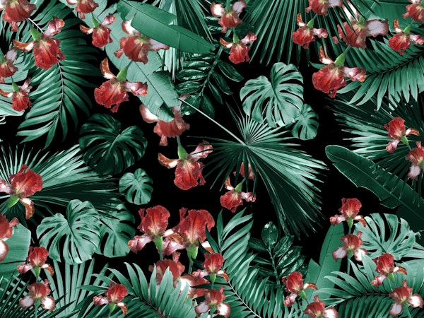 Jungle Leaves Flower Oasis 3