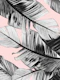 Tropical Blush Banana Leaves 8