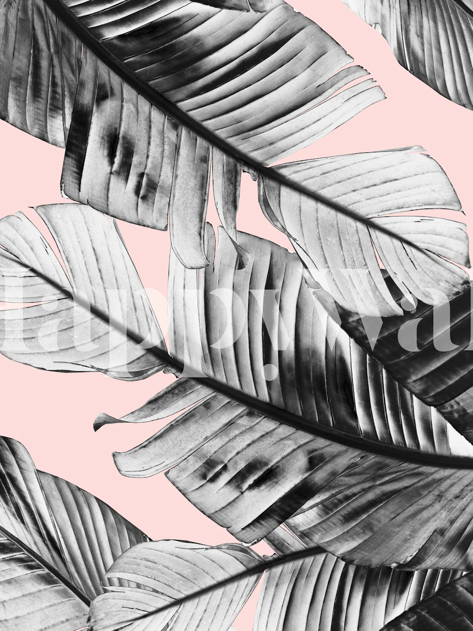 Tropical Blush Banana Leaves wallpaper in a room