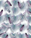 Calathea Fan Palm Leaves 1